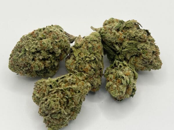 THCA Flower - Orange Creamsicle (Sativa)